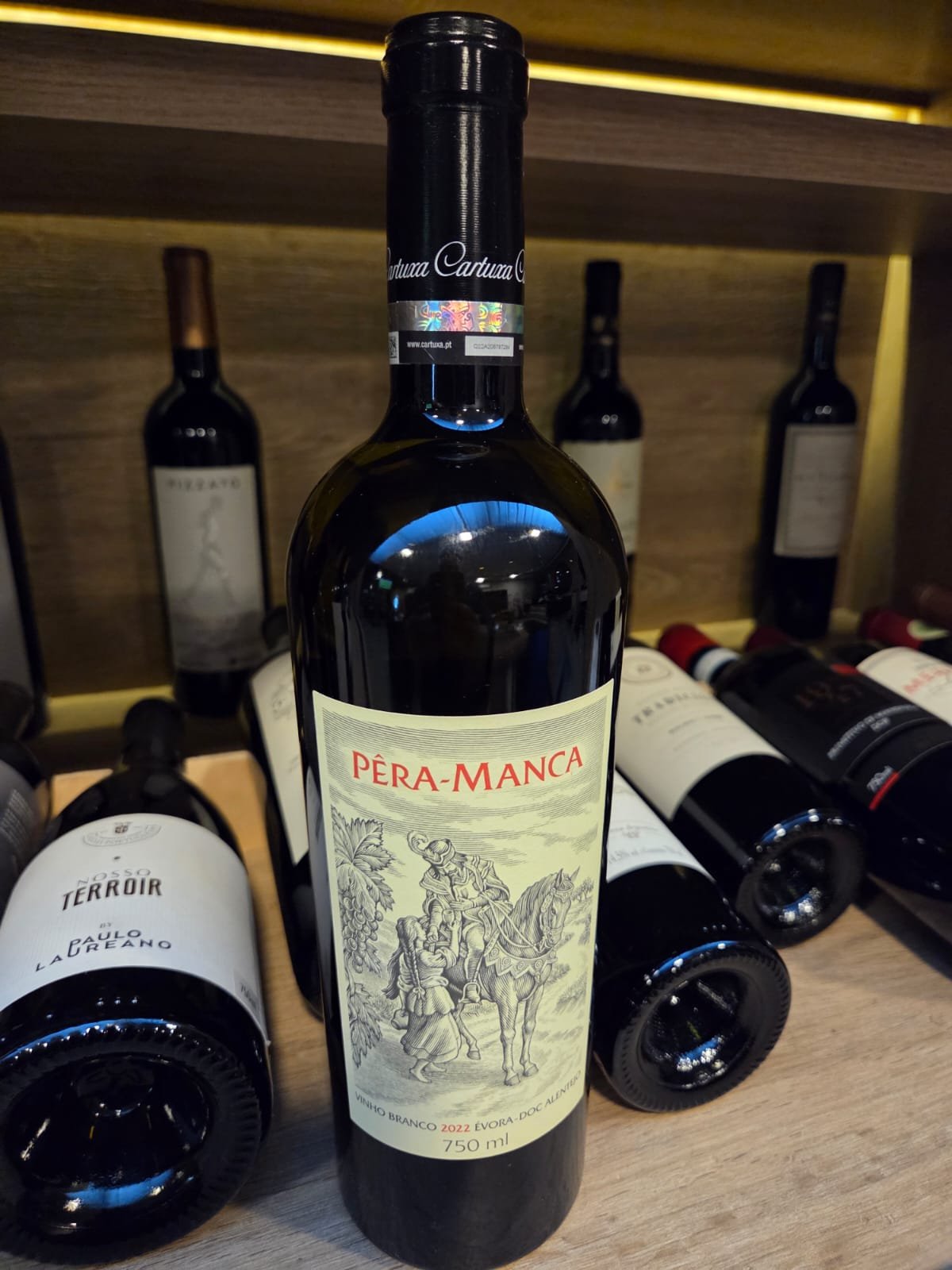 WhatsApp Image 2026-02-04 at 11.26.05 (2)