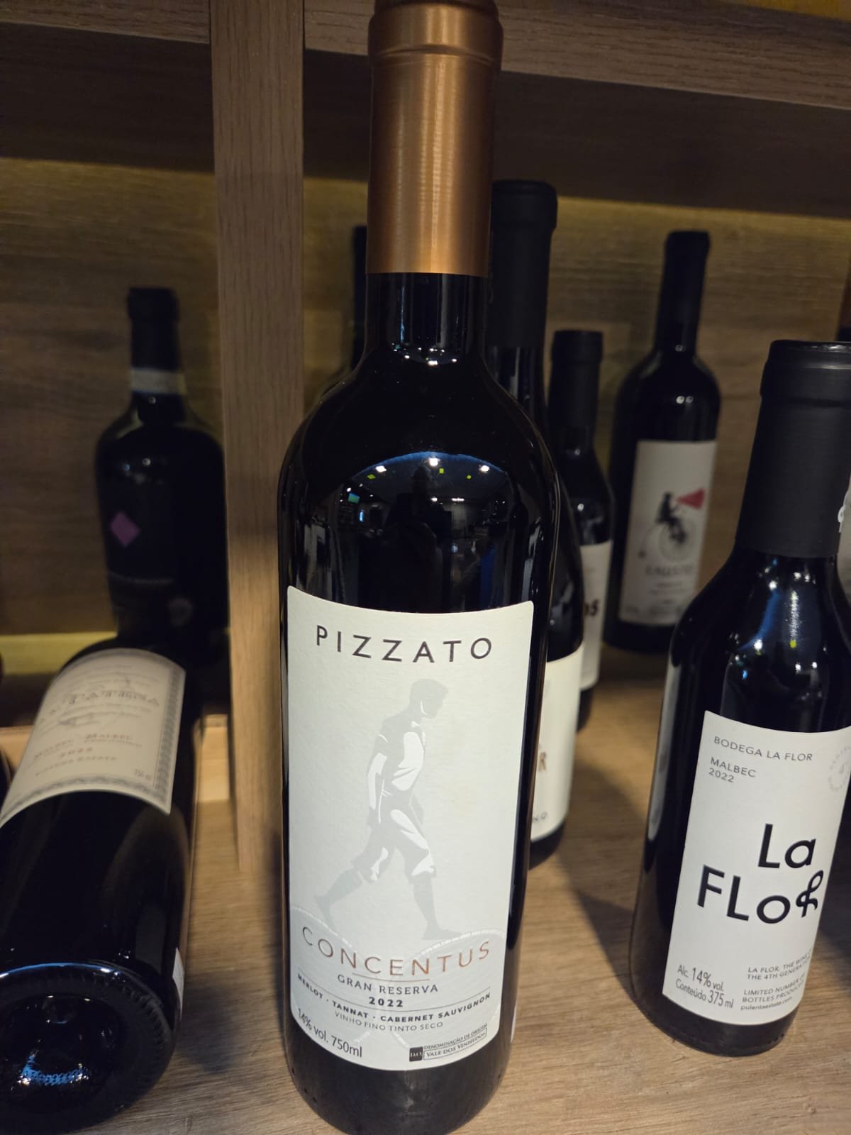 WhatsApp Image 2026-02-04 at 11.26.06 (1)