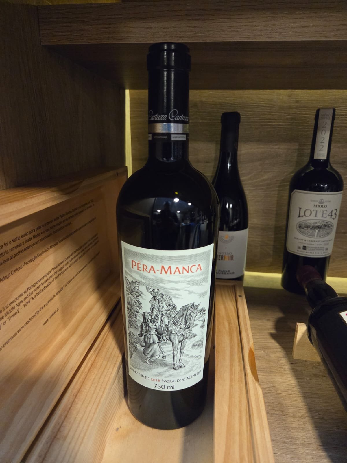 WhatsApp Image 2026-02-04 at 11.26.06 (2)